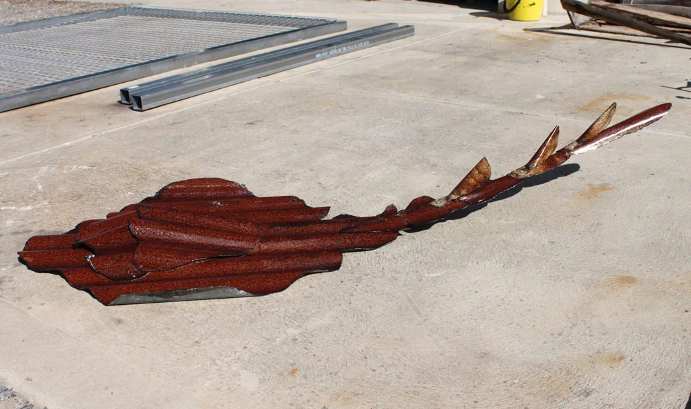 rusty fiddler ray