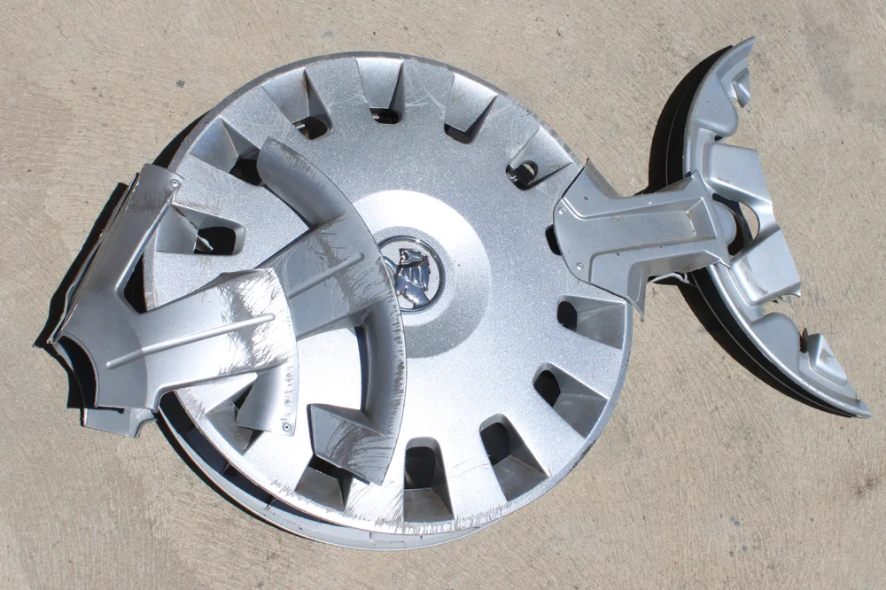 hubcap fish