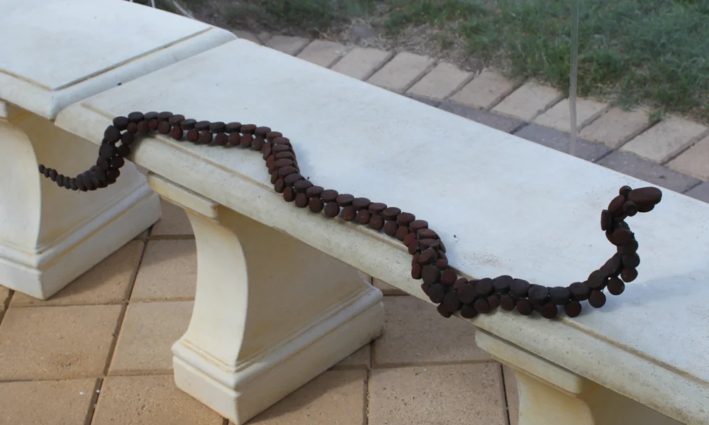 drooping brown snake
