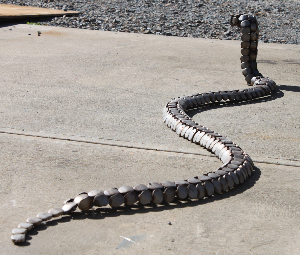 large python