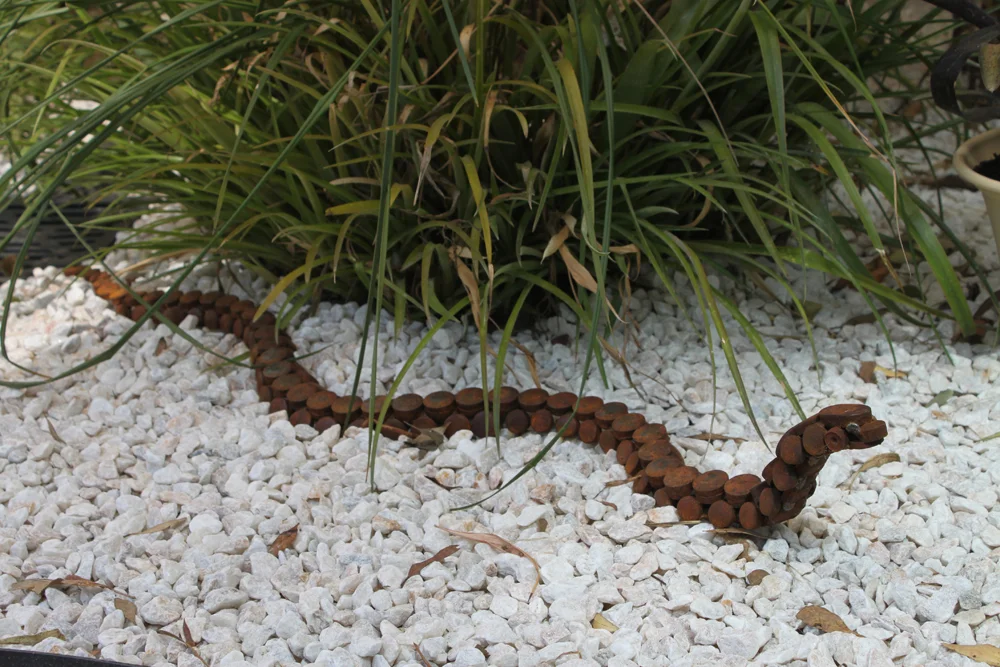 eastern brown snake