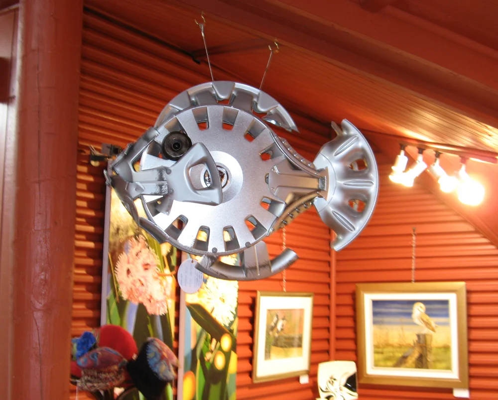 hubcap fish