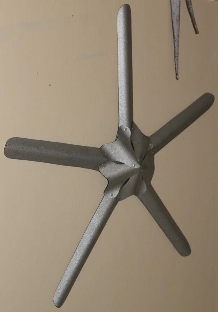 thin starfish