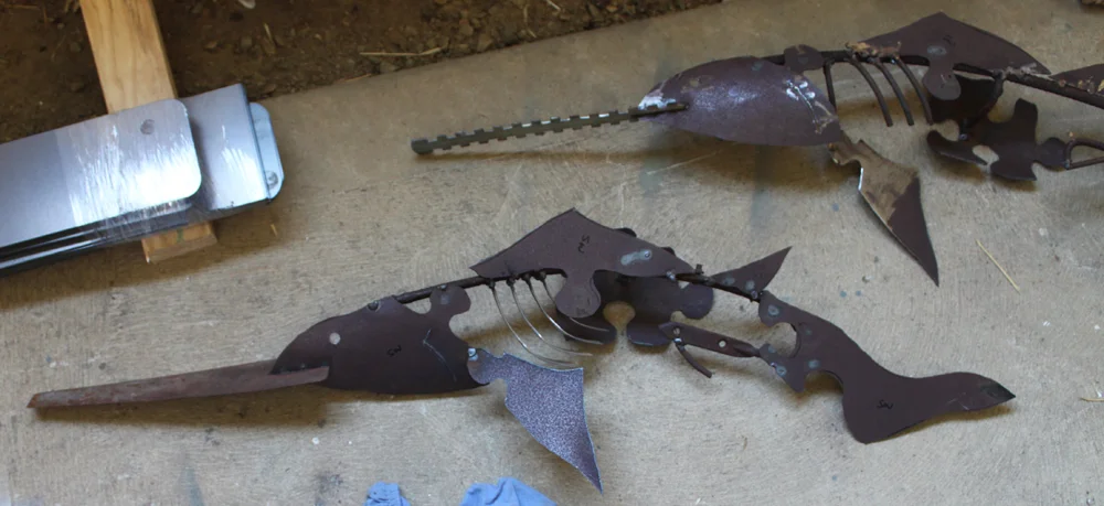 handsaw fish