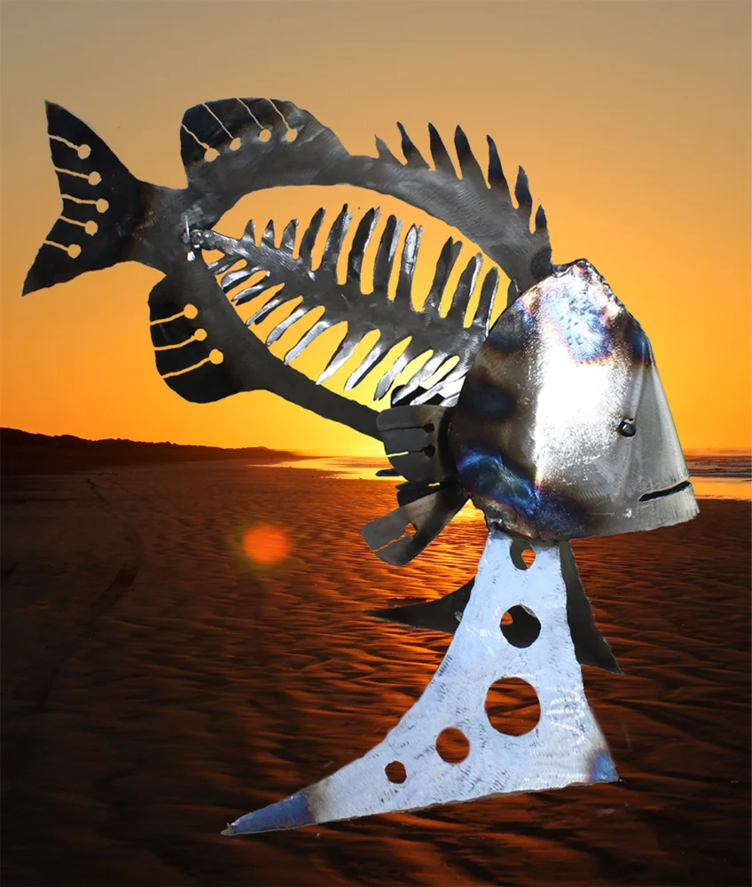 snapper on beach