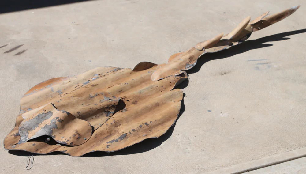 rustic ray