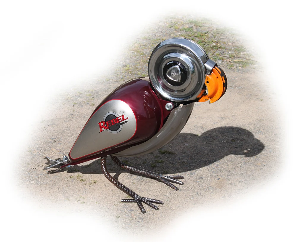 cruisin' parrot
