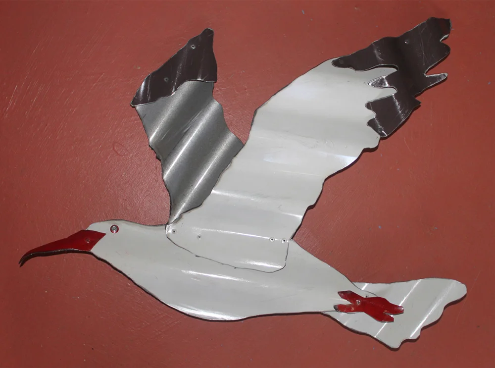 gull 3.jpg