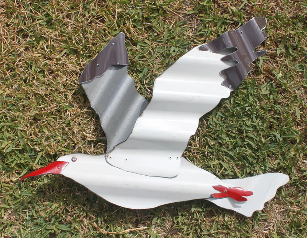 gull 2.jpg