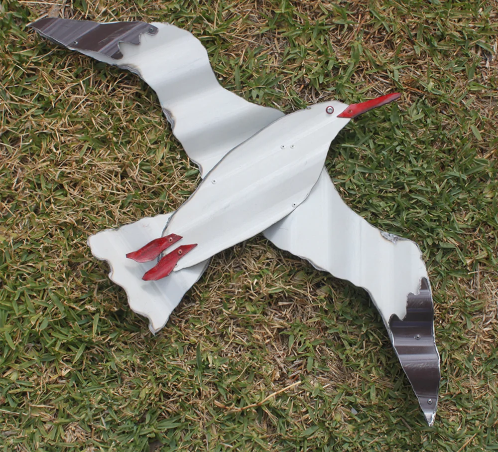 gull 4.jpg
