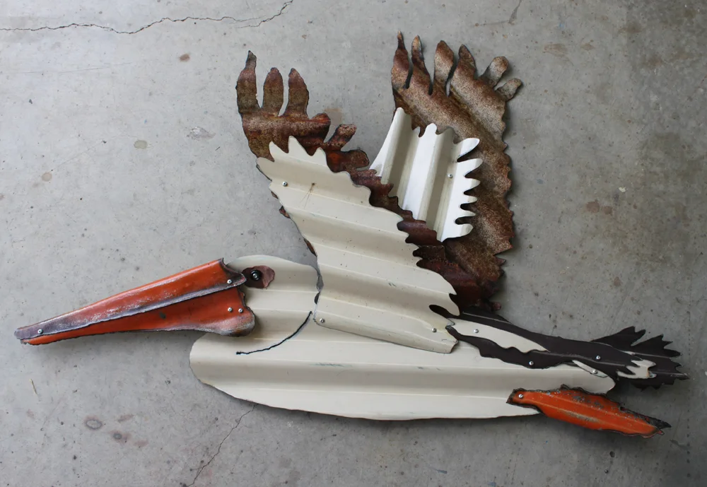 pelican 8.jpg