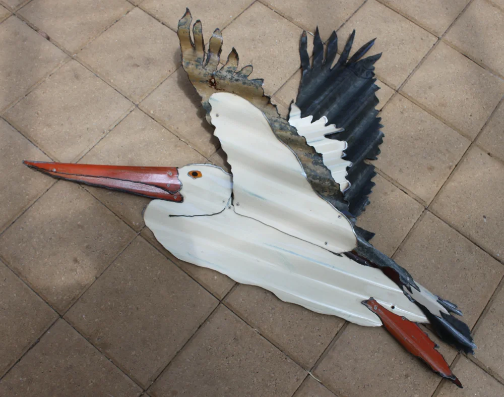 pelican 12.jpg
