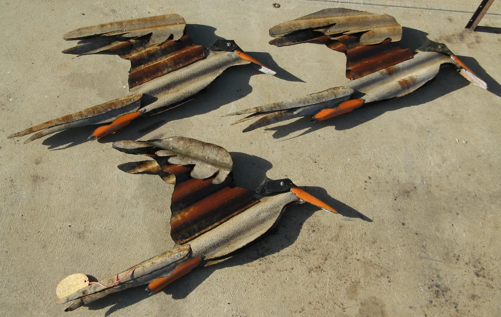 terns on a wall.jpg