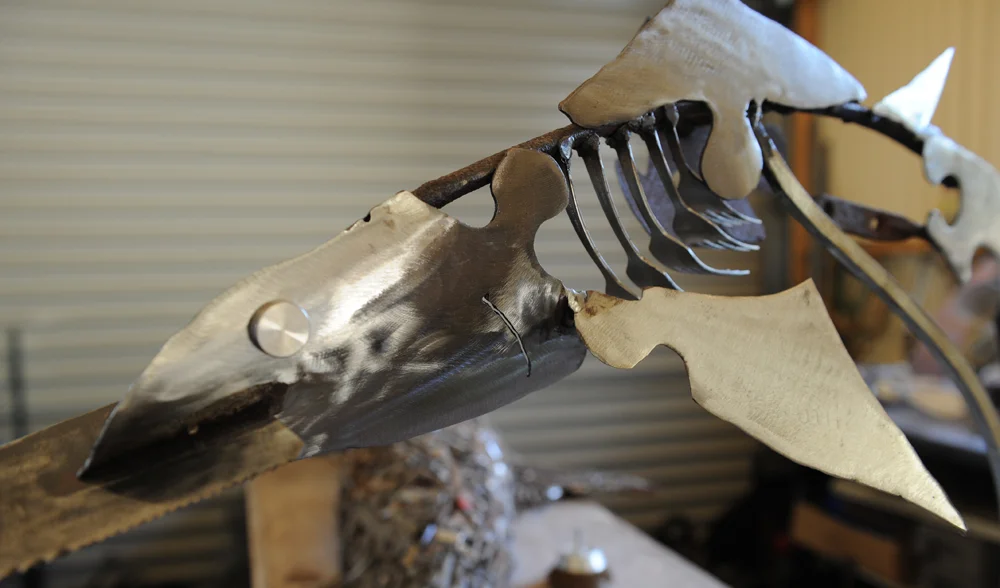 polished sawfish