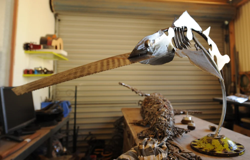 sweeping sawfish