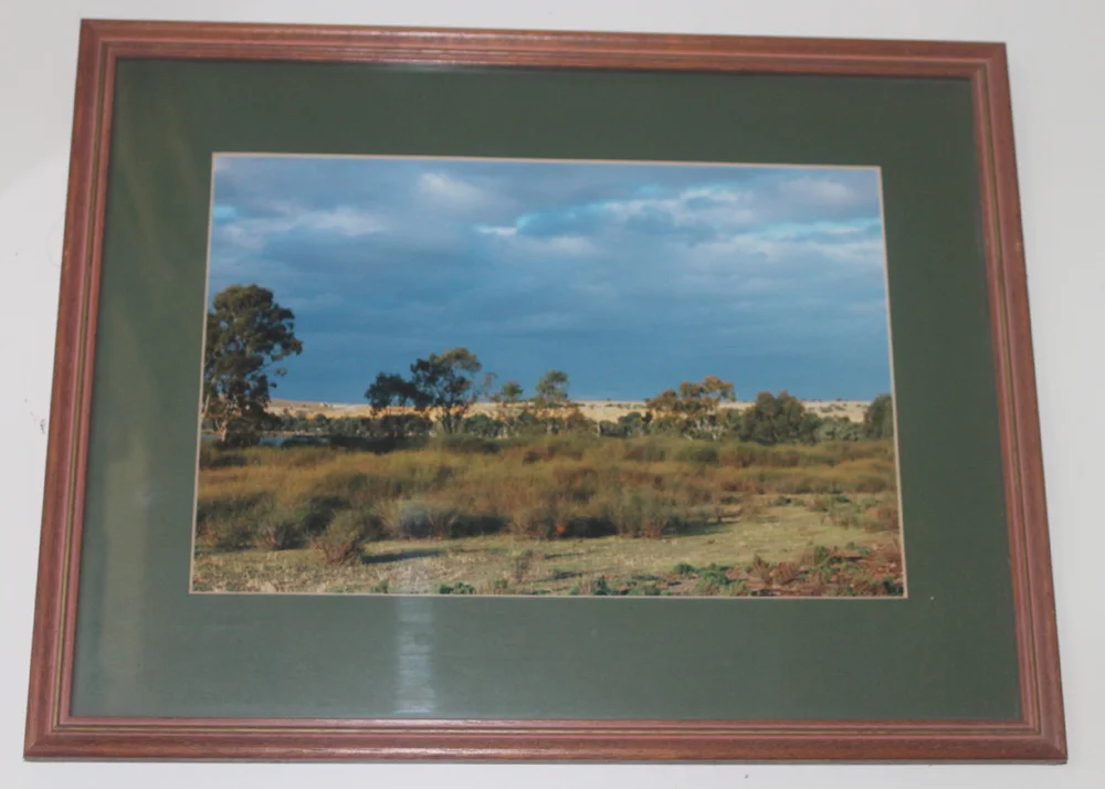 murray mallee