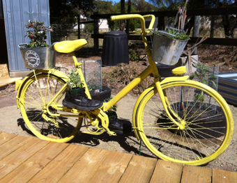bicycle planter