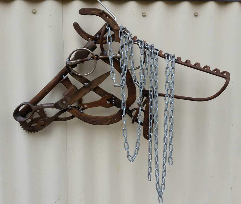 quarterhorse head