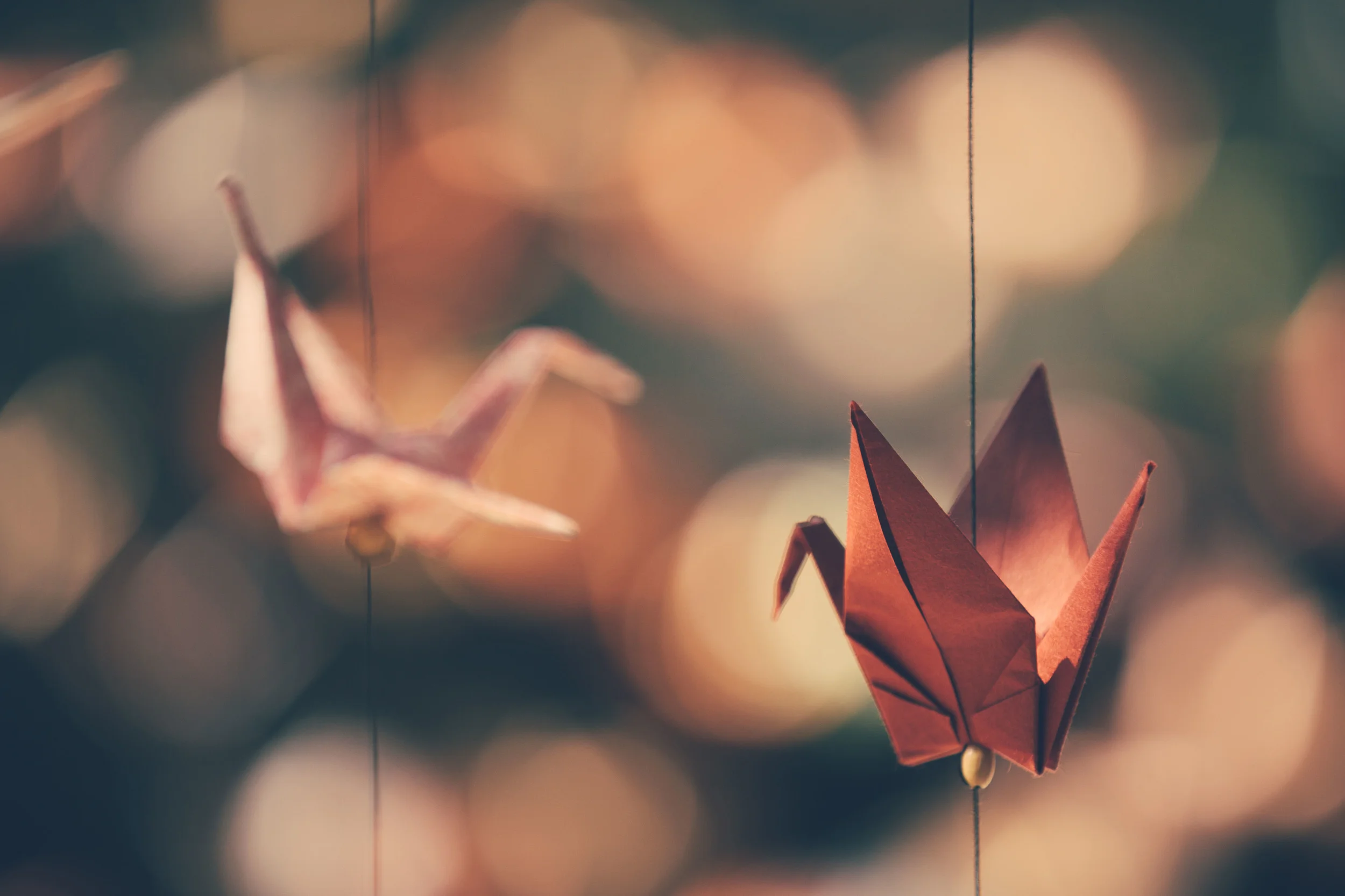 6N4A8948-edit-edit.jpg