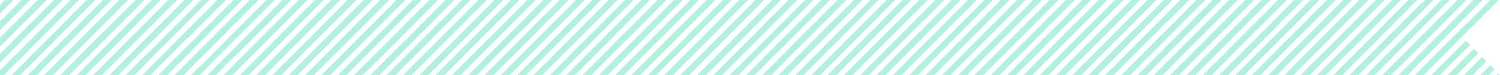 BASH_Stripes.jpg