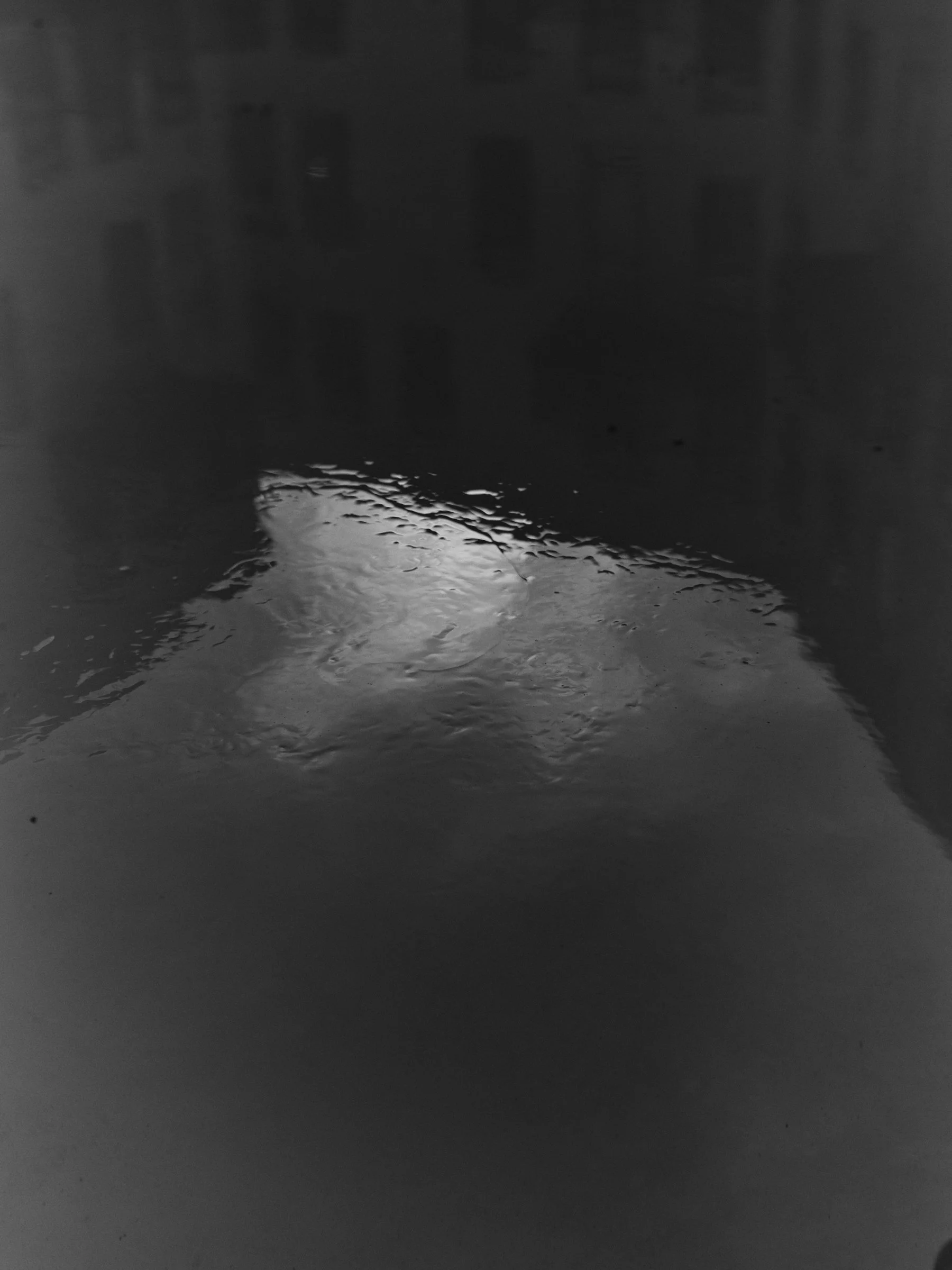 250515-TIMBRE-0140.jpg