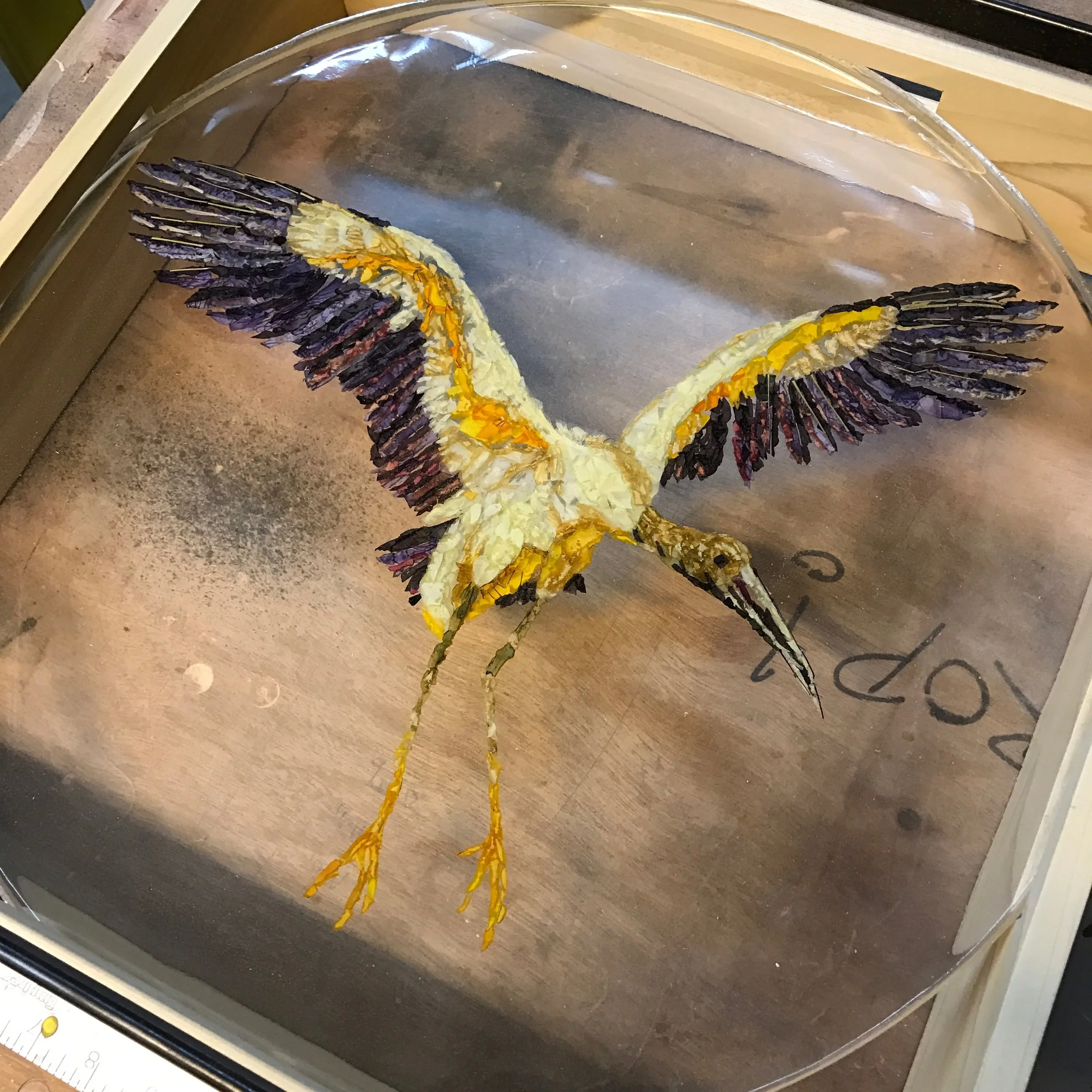 557D0CA1-5C4C-48D9-B97F-B0A4F3A2FE56 (1).jpeg