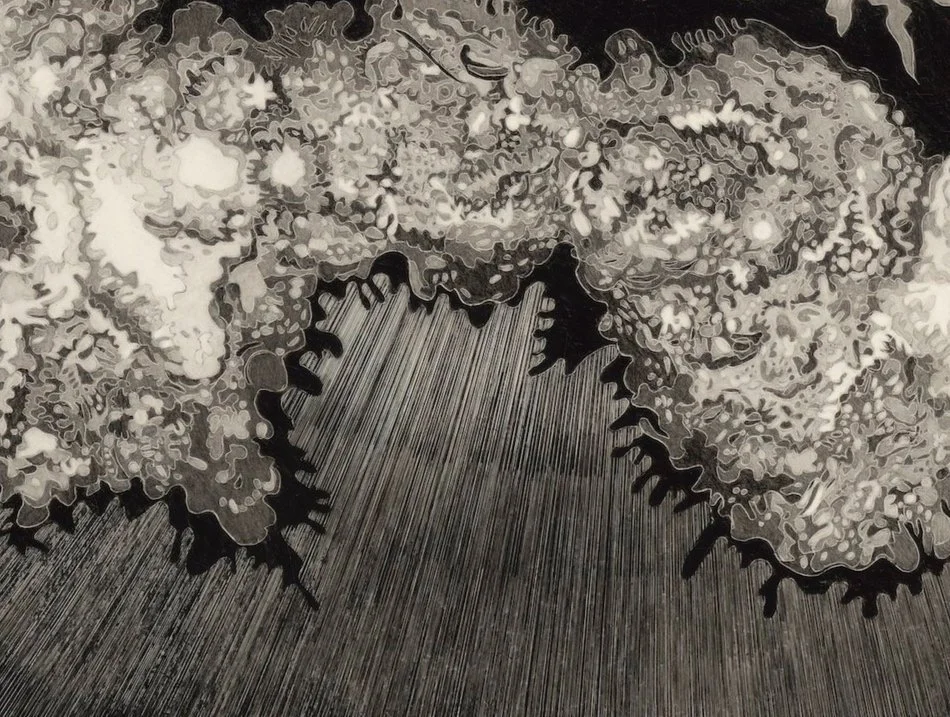 ChristineWeir,Order:Disorder,2021,graphiteonclayboard copy.jpg