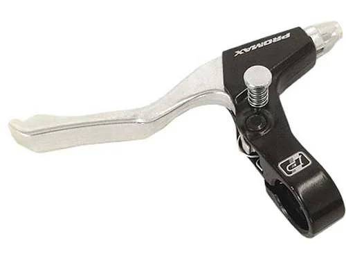 parking brake.jpg