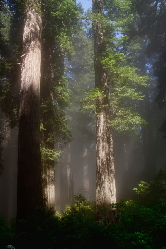 You thought 17 years was a long publishing wait? Get this...