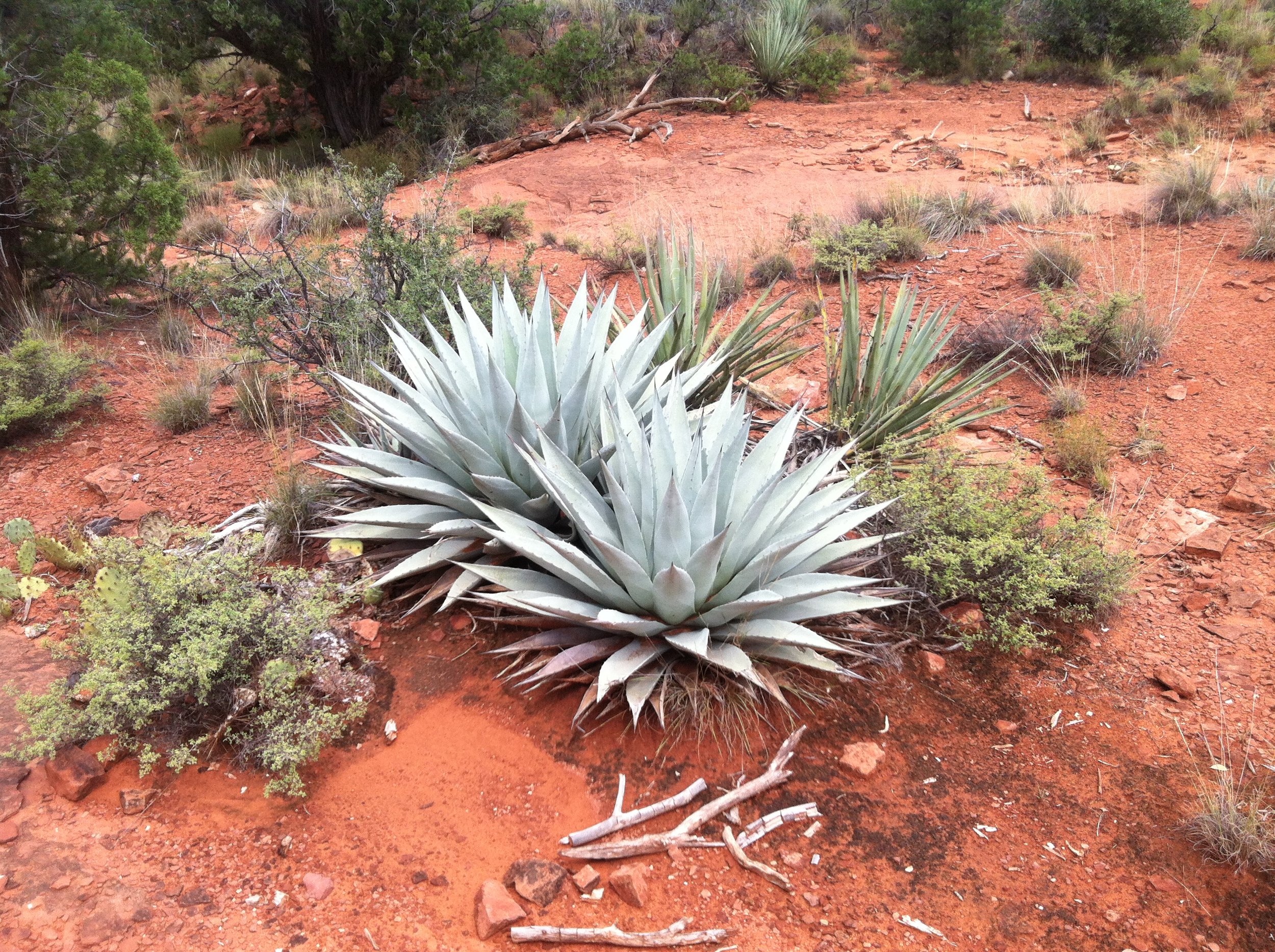 Repost: Research All the Things