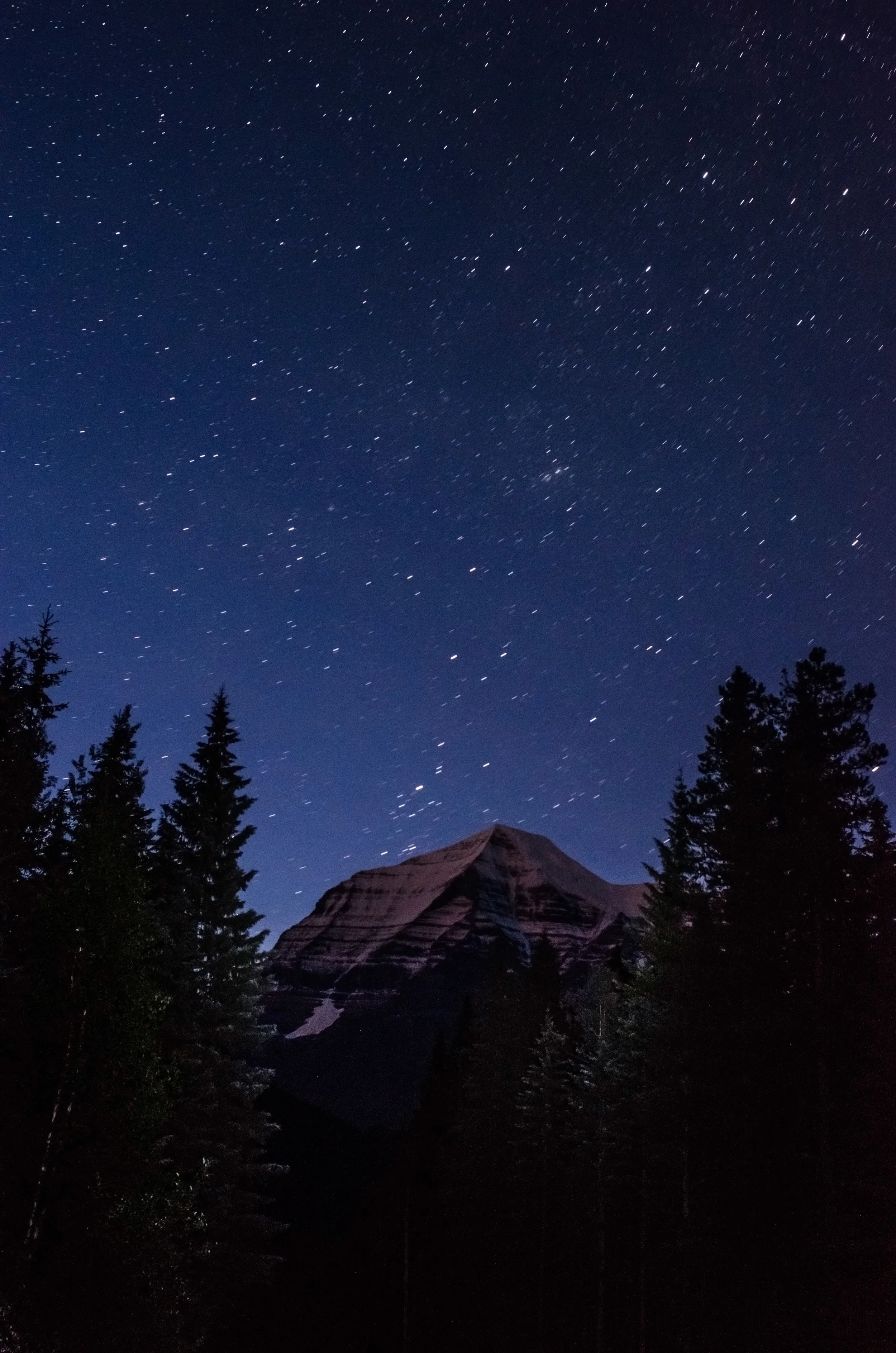 starry night.jpg