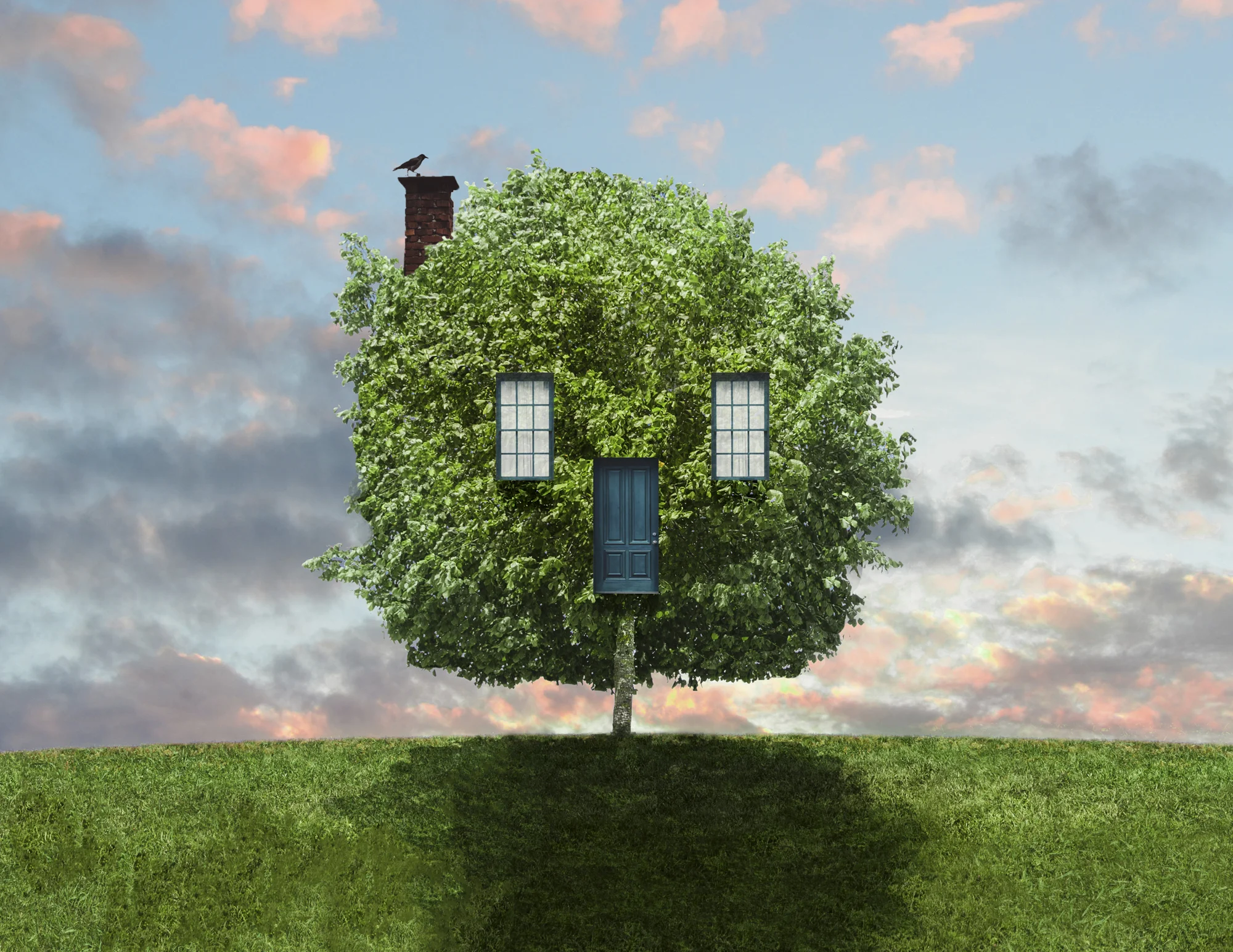 Treehouse.jpg