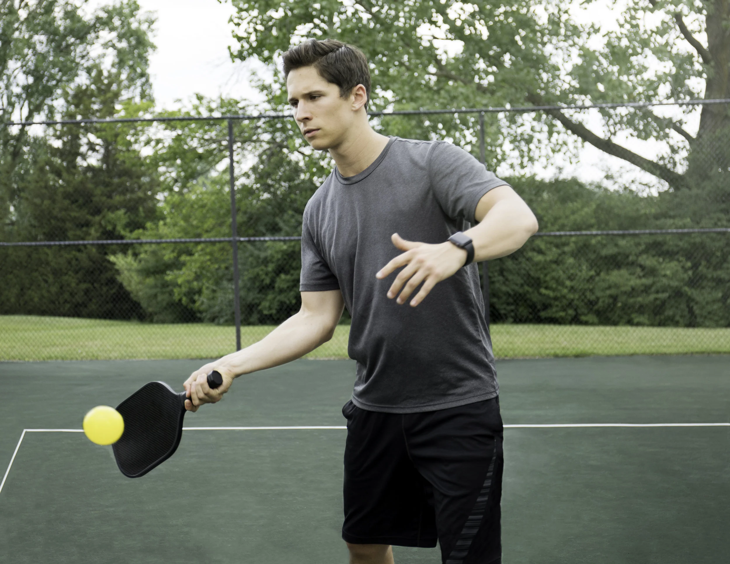 PickleBall-LS-1a.jpg