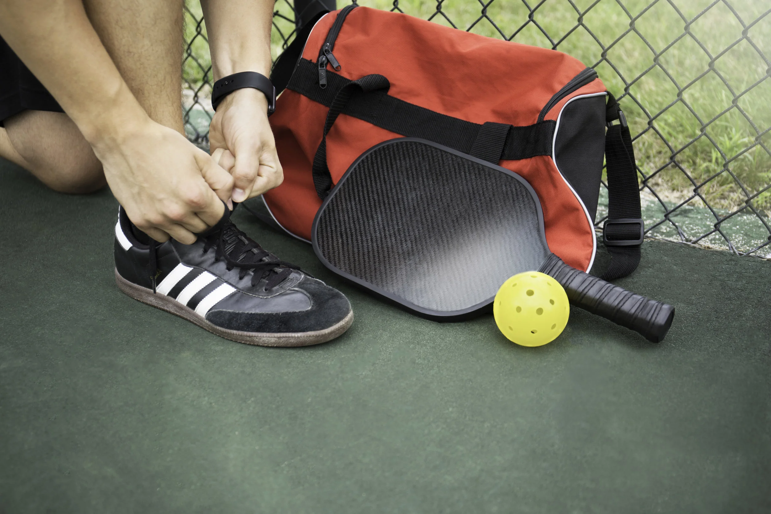 Pickleball-LS-2a.jpg
