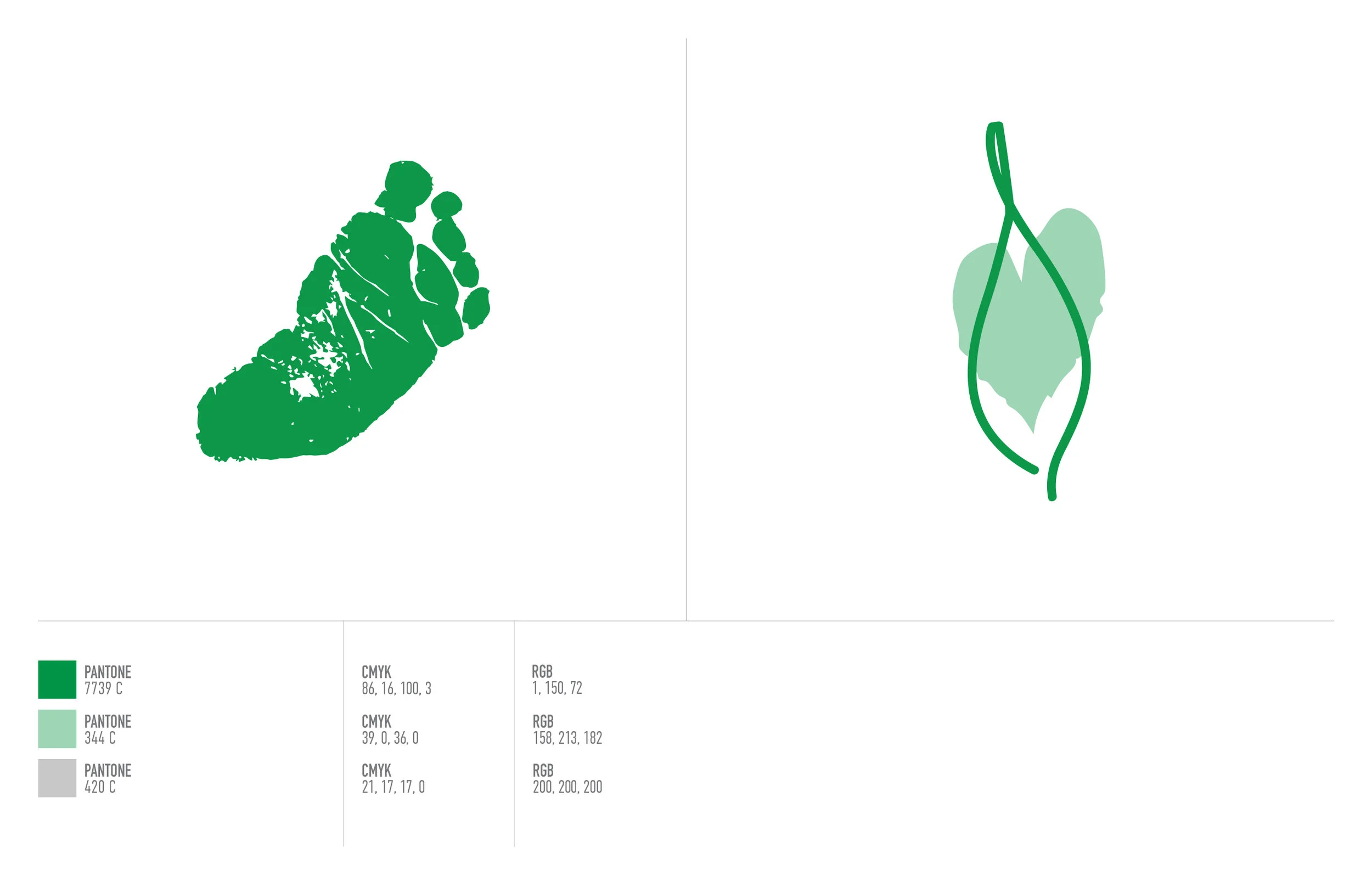 2018_TDP_2800x1800_Brand_EveryStep3.jpg
