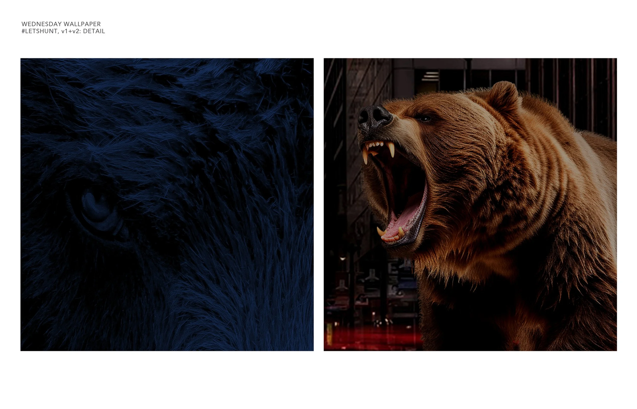 2024_TDP_2800x1800_Work_ChicagoBears_LetsHunt_Detail.jpg
