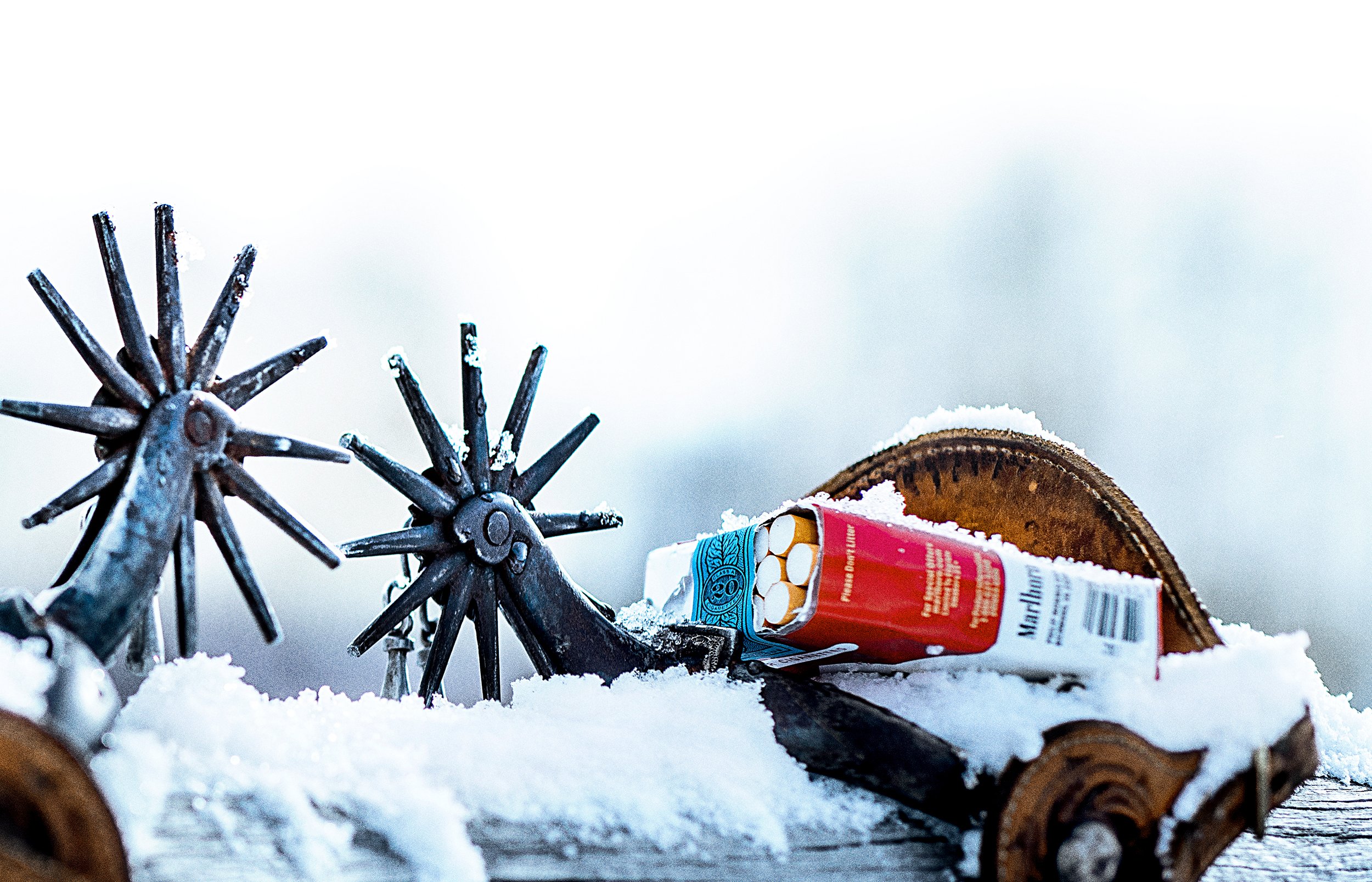2025_TDP_2800x1800_Work_Marlboro-Winter3.jpg