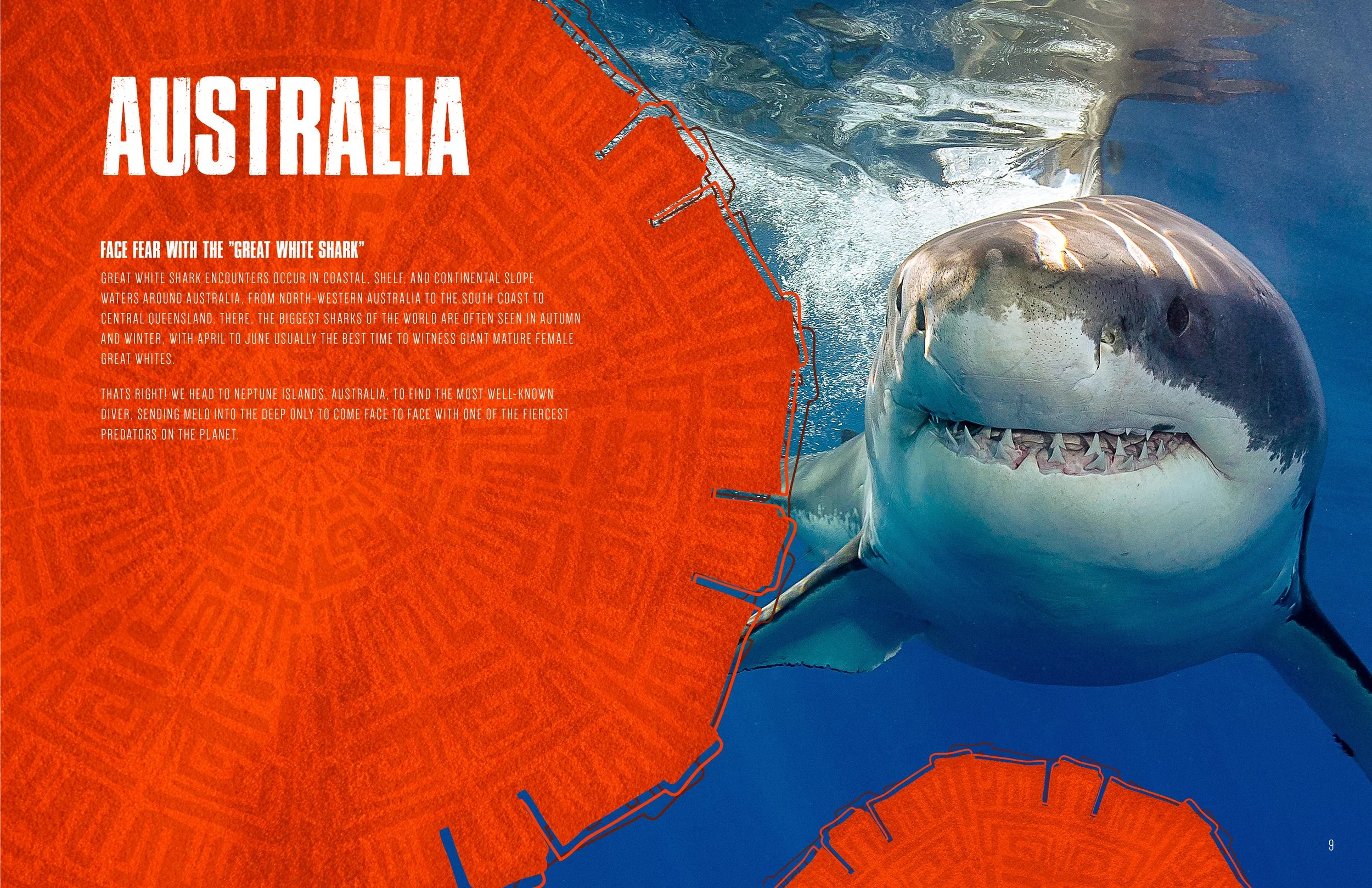 2025_TDP_2800x1800_Work_ProjectMelo_Shark.jpg
