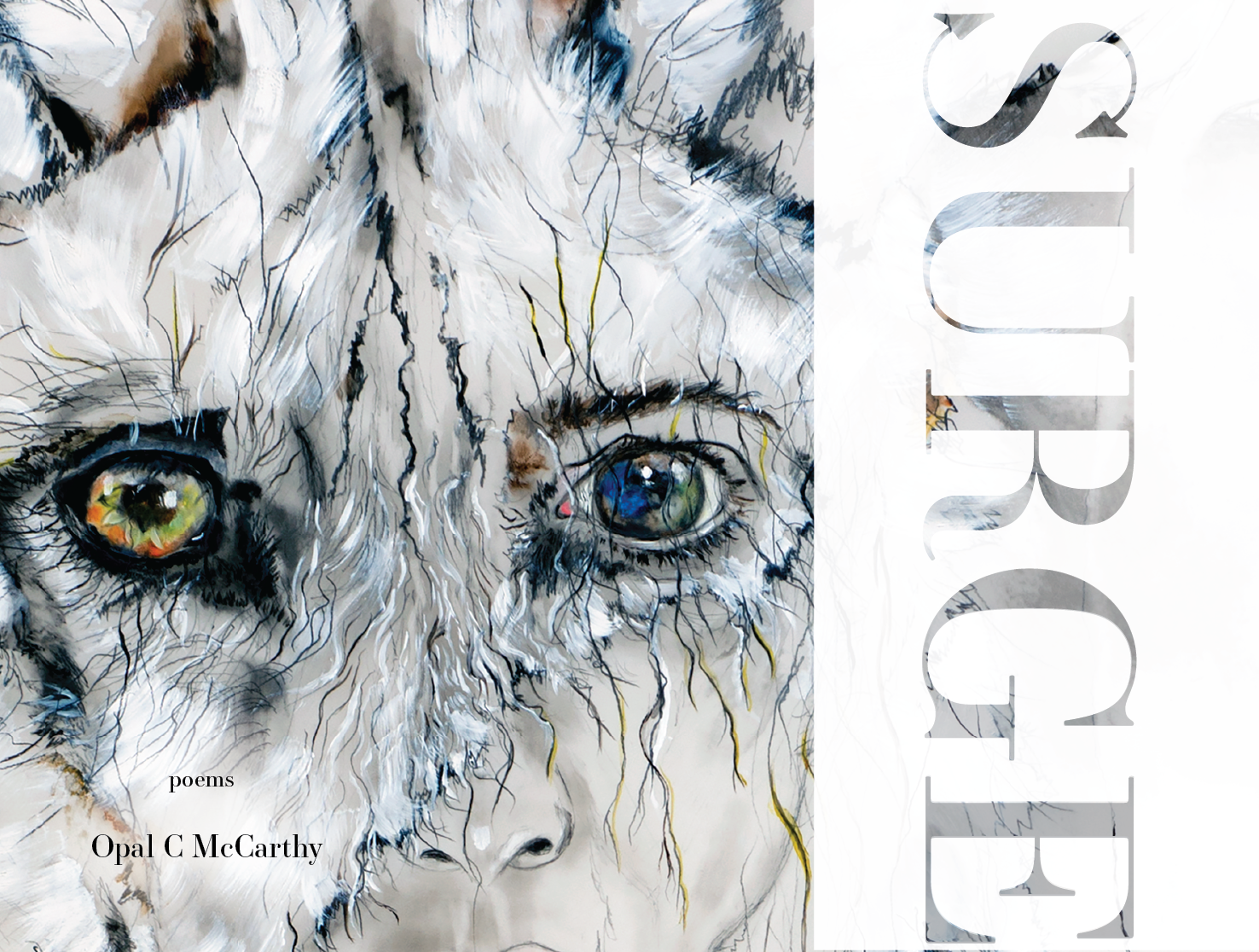 Surge-Cover-Final.png