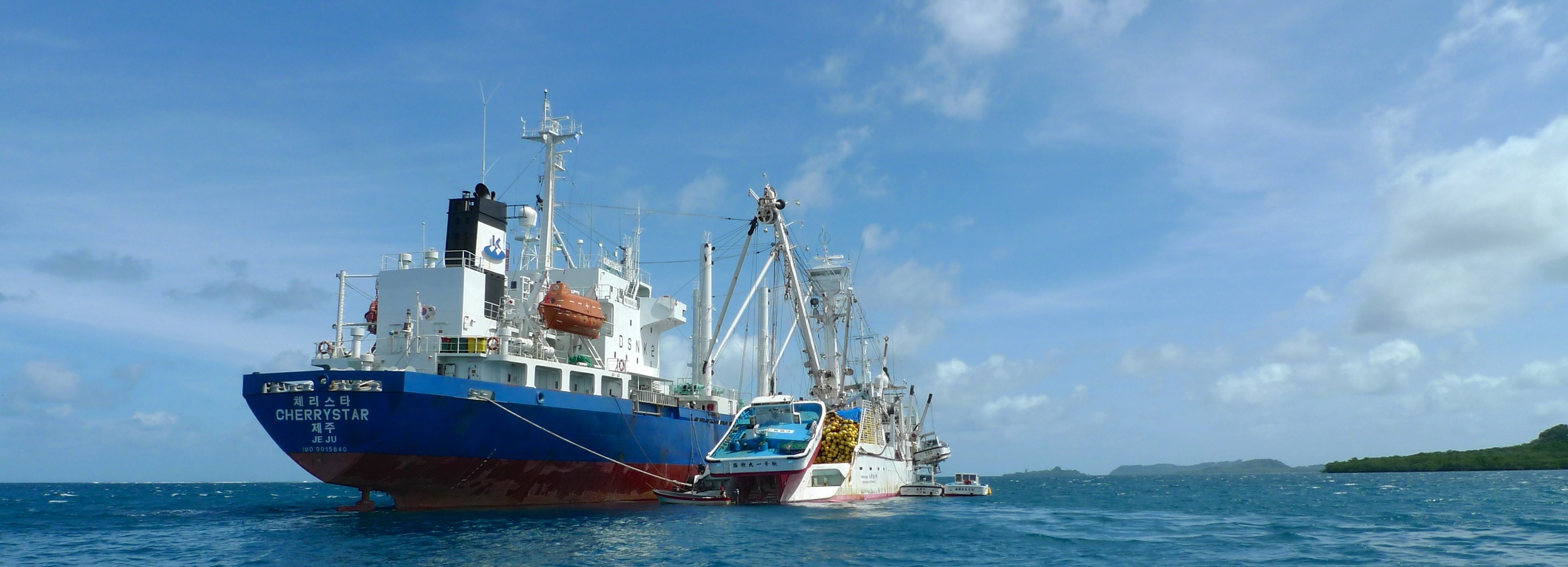How well does the flag state know how much Tuna was transhipped?