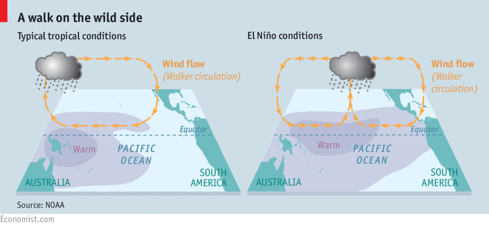 El Niño, Walker Circulation and Fish — Francisco Blaha