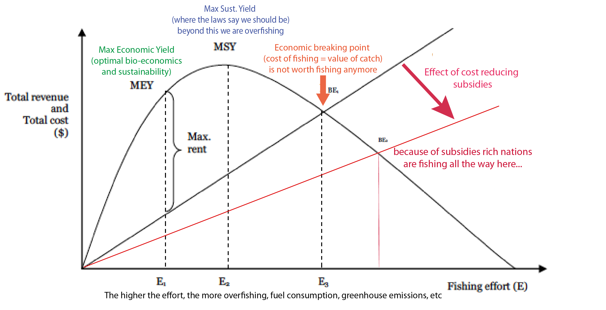 fisheries subsidies... a simple yet effective way to go against all the work we stand for