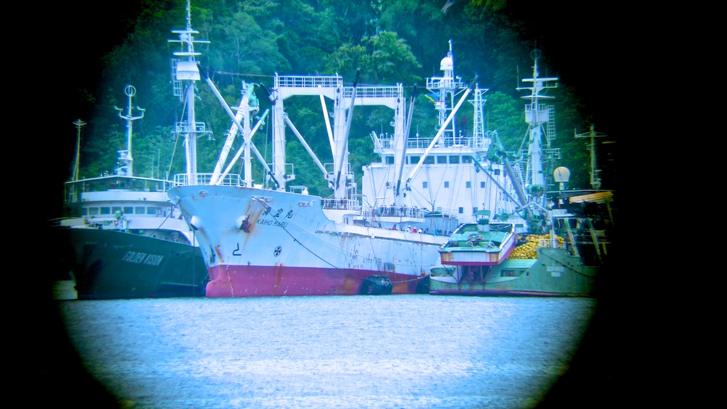 I took this picture from a suspected illegal transhipment from over 800 m away with my phone camera, I "connected" the lens to a good binocular I had on board. Sometimes, If you don't have the right equipment, you to use your imagination!