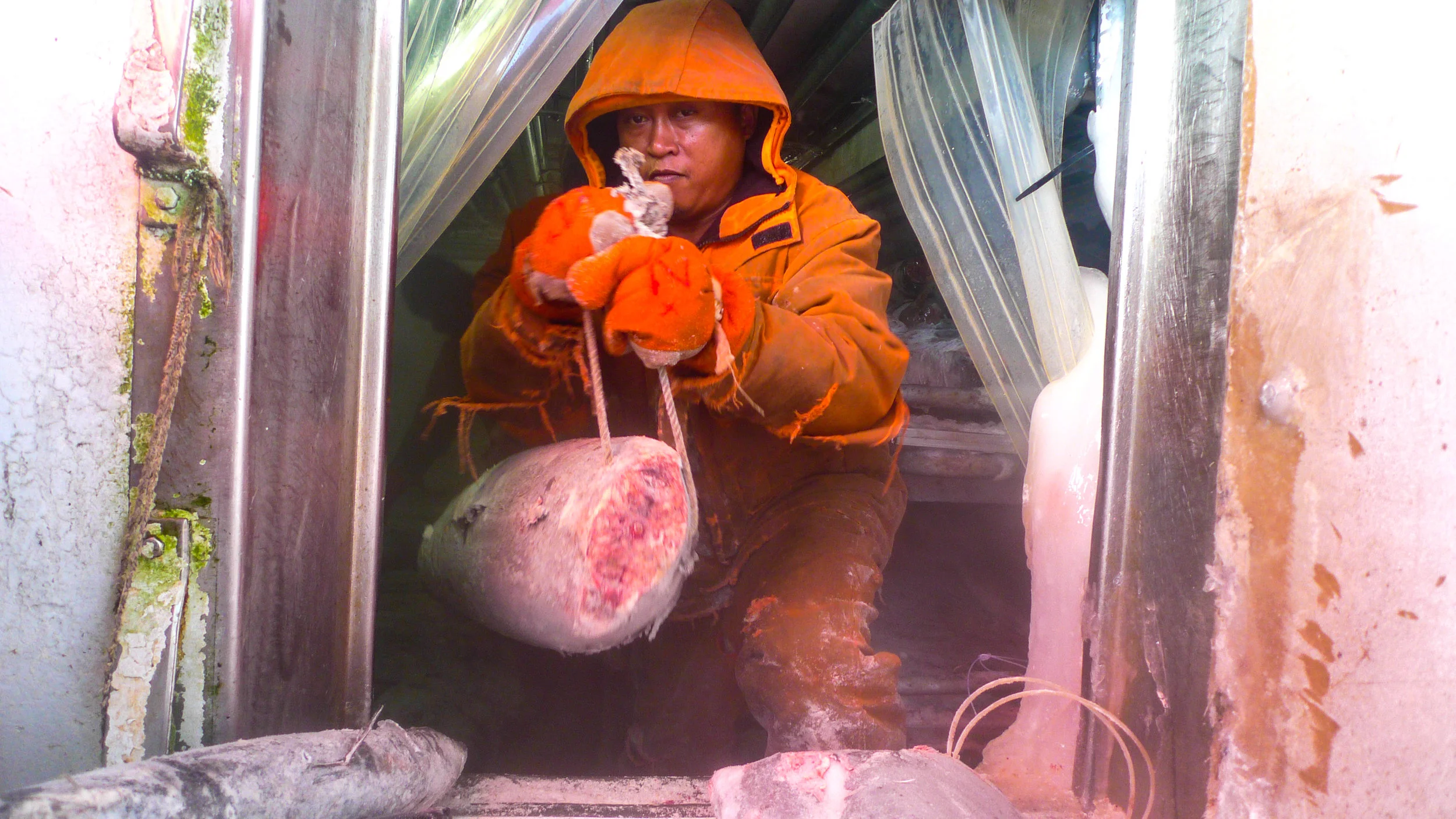 Life at sea