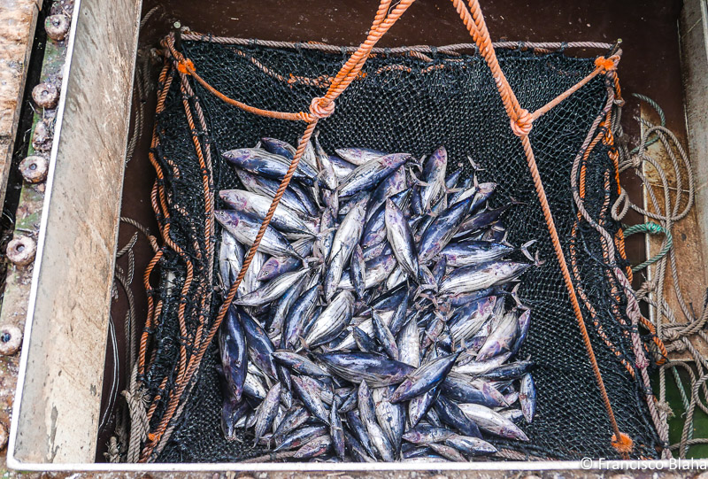 Not as much as they make you believe