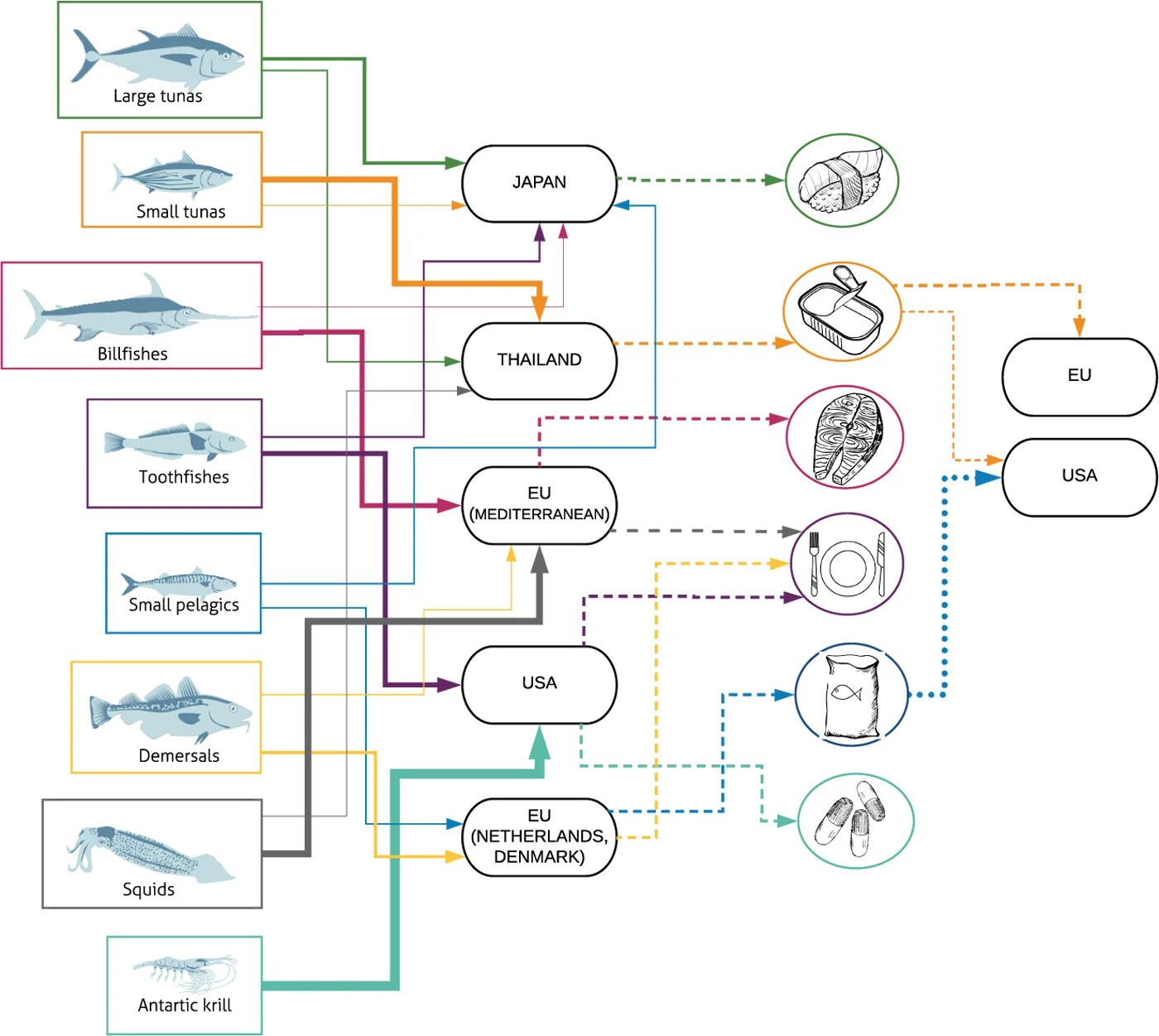 Fig. 2 Imports of species caught on the high seas. Solid arrow width proportional to destination’s share of total global imports for each species group (fresh, frozen, unprocessed form), and dashed arrows indicate likely form of consumption in primary importing country or, if applicable, processed product produced.