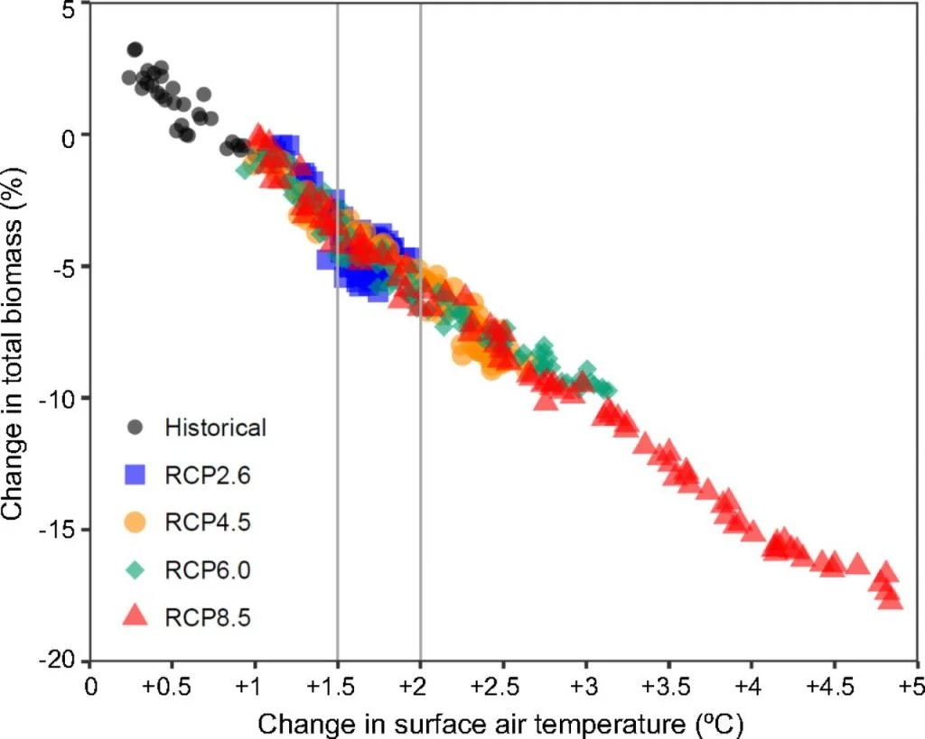 Predicted changes in ocean biomass under different emissions scenarios and temperature changes.