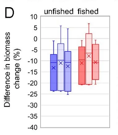 The three boxes per color represent, from left to right, total biomass, biomass >10cm and biomass >30cm. You can see slightly higher total biomass in the fished models, though the errors bars are much higher in the unfished scenarios.