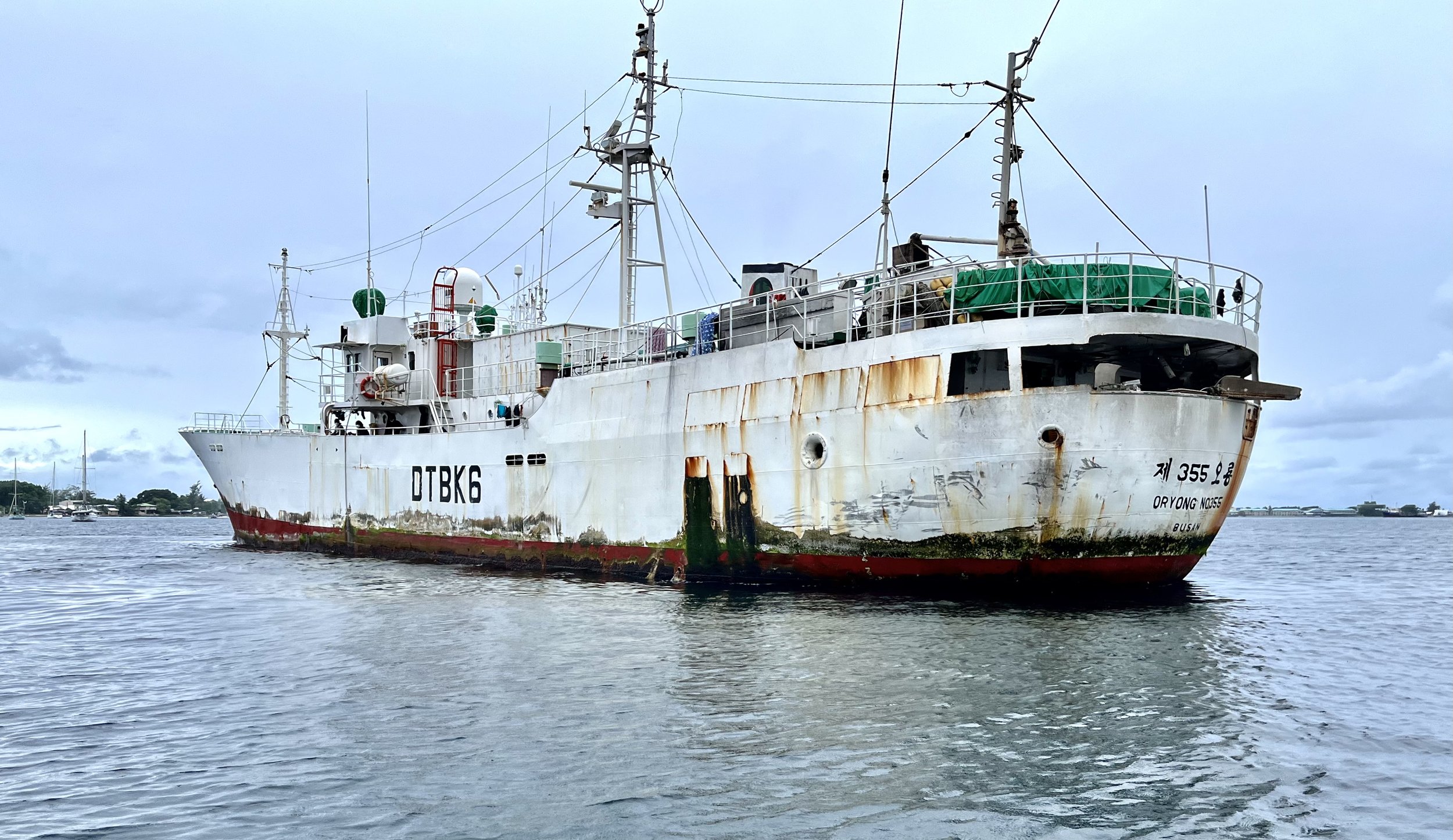 Predatory European ships push Indian Ocean tuna to the brink