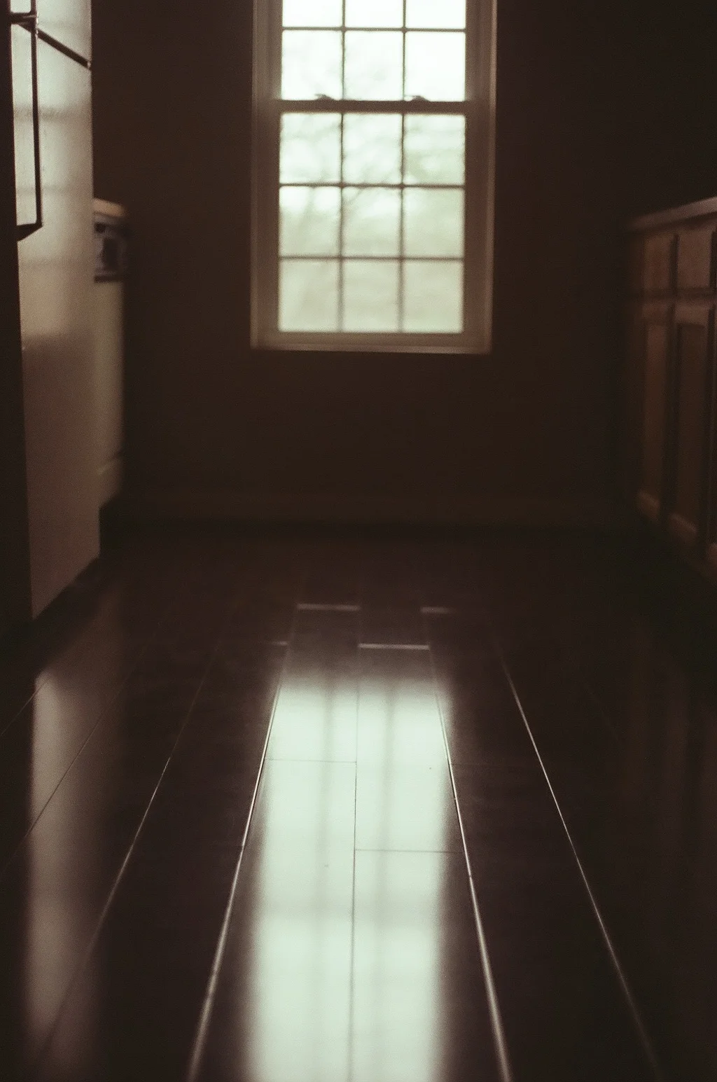 Shot with Kodachrome 800 with a Yashica.